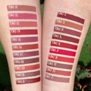 Labial Mate Profesional Trendy 