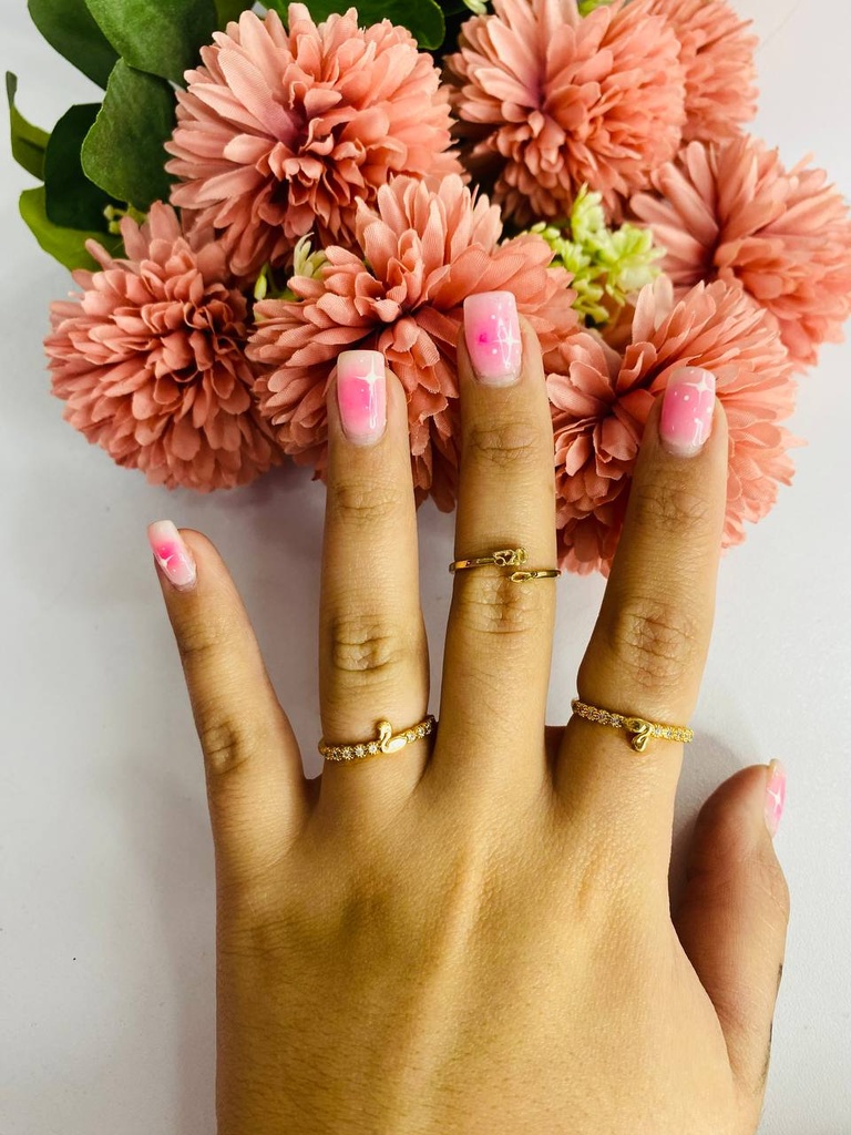 Anillos individuales 