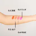 Rubor liquido Anik Tono 03 Zoe