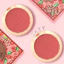 RUBOR CON ESPEJO ENGOL