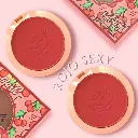 RUBOR CON ESPEJO ENGOL