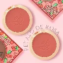 RUBOR CON ESPEJO ENGOL