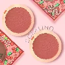 RUBOR CON ESPEJO ENGOL