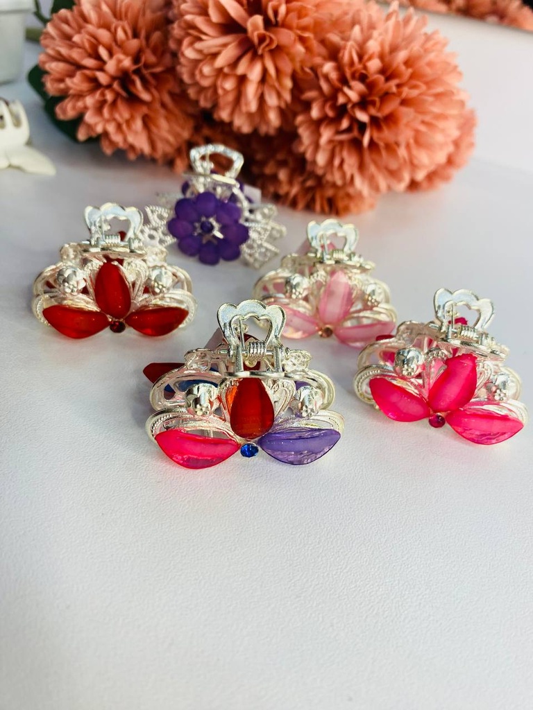 [CMIV] Caimán Mediano Individual Varios Modelos